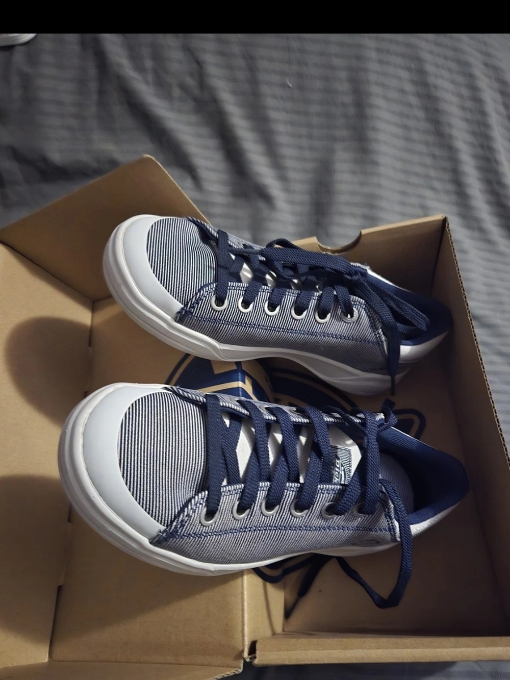 Dickies Gray & Navy Supa Dupa Low Sneakers